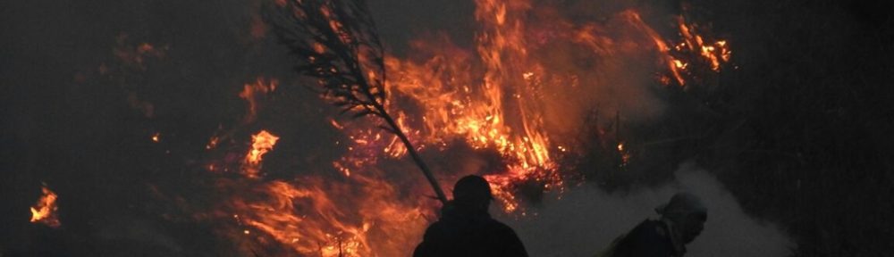 Kebakaran Hutan dan Lahan di Kawasan Gunung Bromo